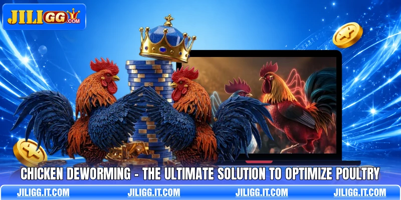 Chicken Deworming - The Ultimate Solution To Optimize Poultry
