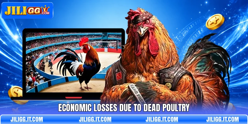 Economic losses due to dead poultry