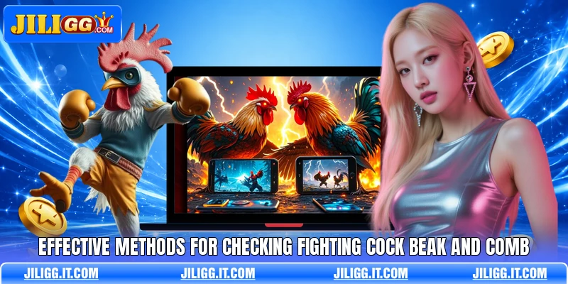 Effective methods for checking fighting cock beak and comb
