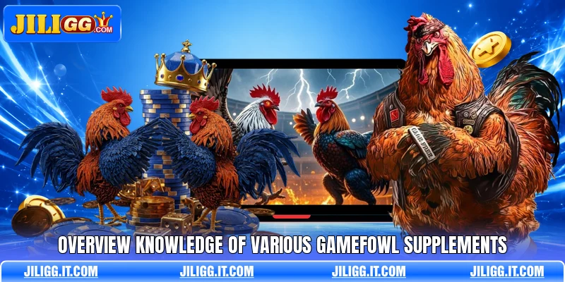 Overview knowledge of various gamefowl supplements