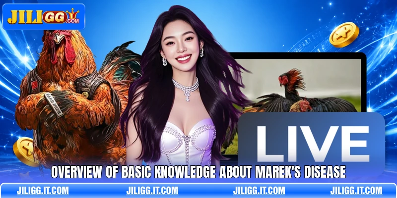 Overview of basic knowledge about marek's disease Overview of basic knowledge about marek's disease